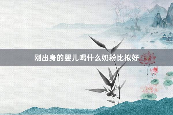 刚出身的婴儿喝什么奶粉比拟好