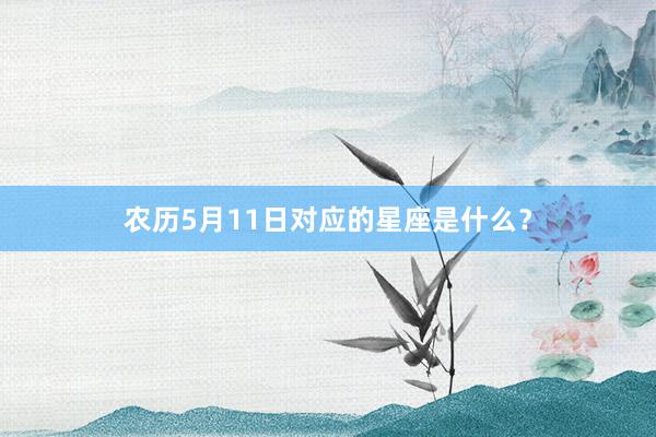 农历5月11日对应的星座是什么？