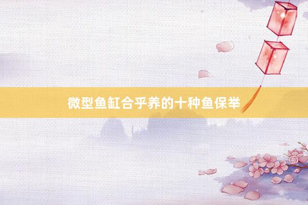 微型鱼缸合乎养的十种鱼保举